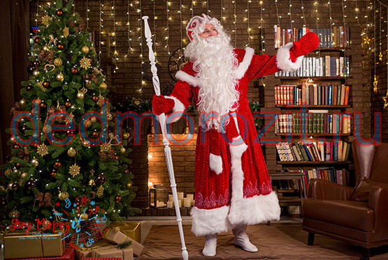 Служба заказа Деда Мороза и Снегурочки «Дед Морозит». Костюмы