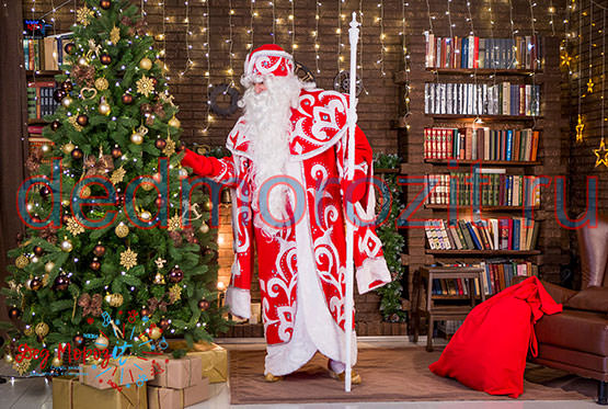 Служба заказа Деда Мороза и Снегурочки «Дед Морозит». Костюмы