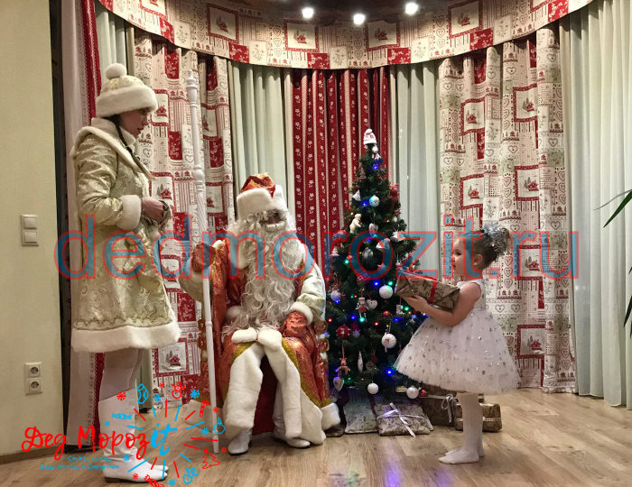 Служба заказа Деда Мороза и Снегурочки «Дед Морозит». Выступления дома